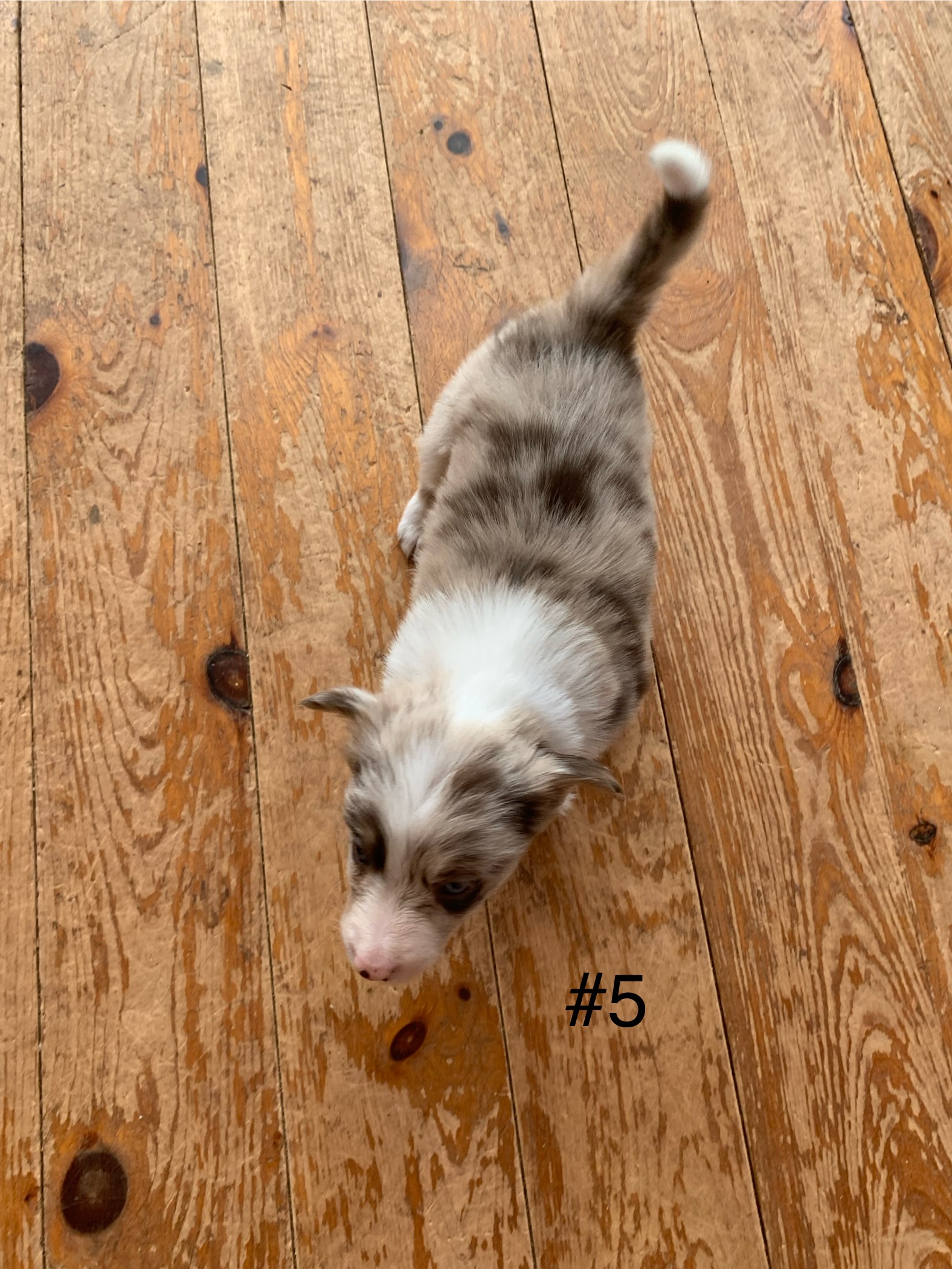 #5 Body.jpg